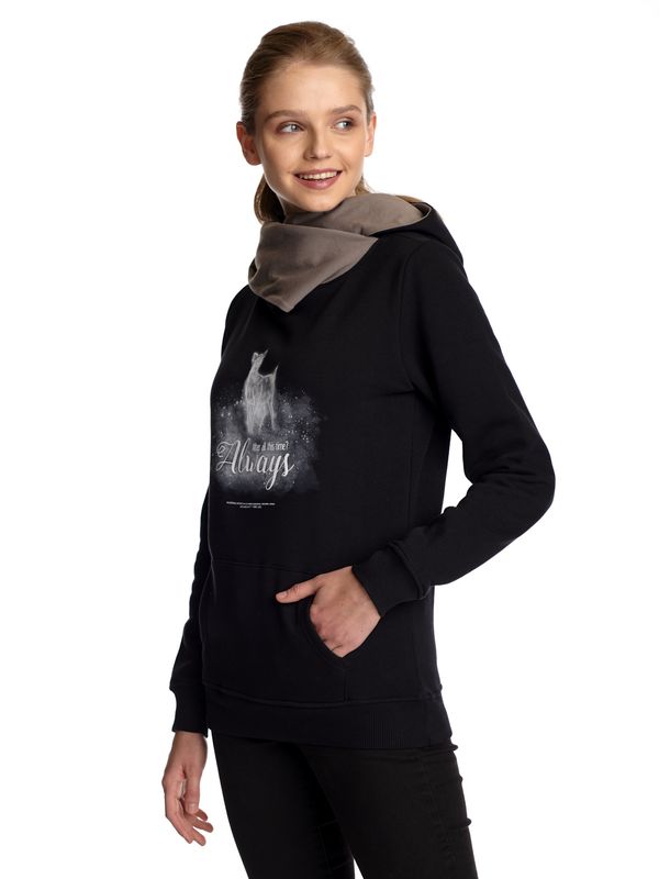 Nastrovje Potsdam Harry Potter Patronus Damen Schalkragenpullover schwarz/grau Auslauf