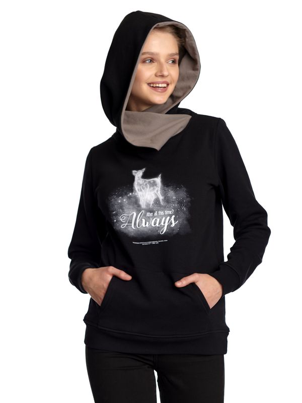 Nastrovje Potsdam Harry Potter Patronus Damen Schalkragenpullover schwarz/grau Auslauf