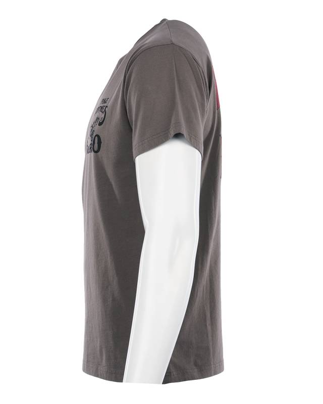 Pike Brothers 1969 Sports Tee Enduro grey Begrenztes Angebot
