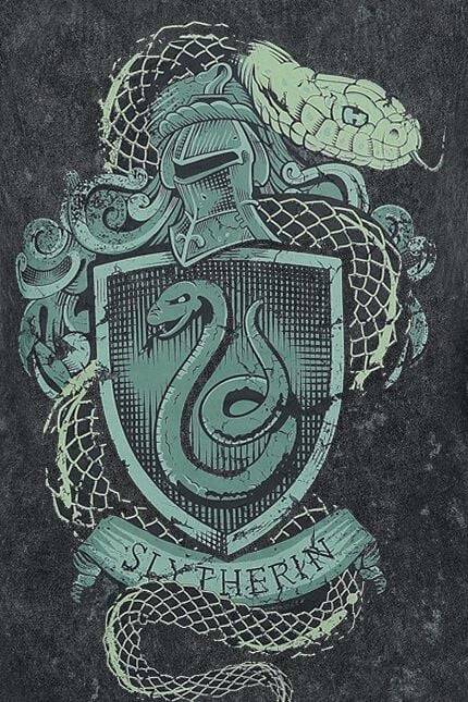 EMP "Slytherin Crest" Top dunkelgrün von Harry Potter Clearance-Verkauf
