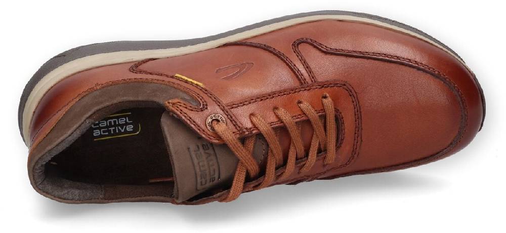 EMP "Sneaker Low" Schnürschuh braun von Camel Active Speichern exportieren