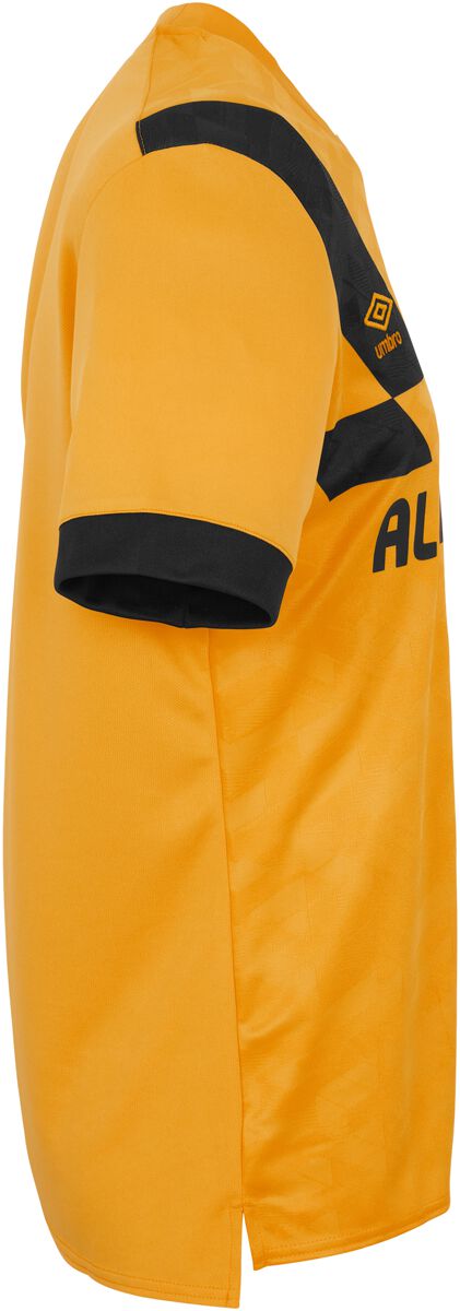 EMP "23/24 Home Jersey" Trikot multicolor von Dynamo Dresden Im Verkauf
