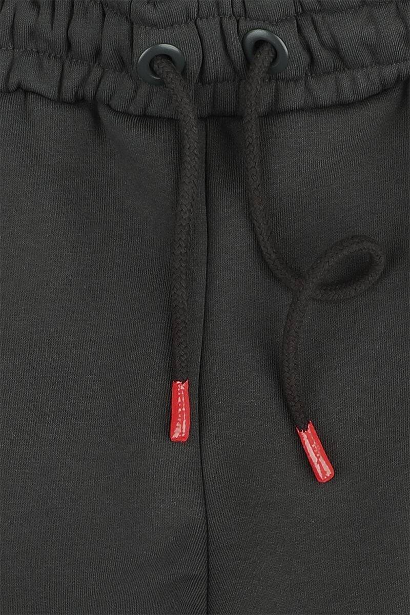 EMP "Alpha RP Short" Short grau von Alpha Industries Super Sparpreis